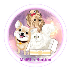 ma-mha station YouTube kanalı avatarı