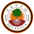 wNnnPCoNrEU-channel-avatar-Yeyeo Botanica
