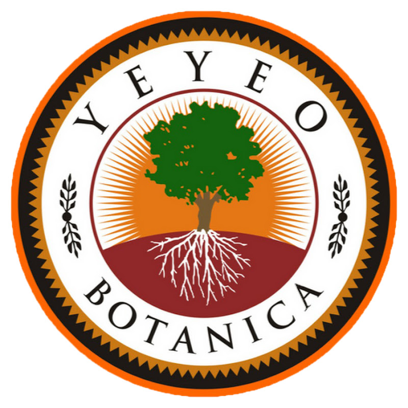 YEYEO BOTANICA