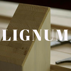 lignum net worth