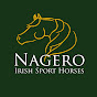Nagero Irish Sport Horses