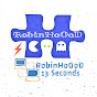 RobinHoOoD RH13S