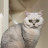 @nawally123 Avatar
