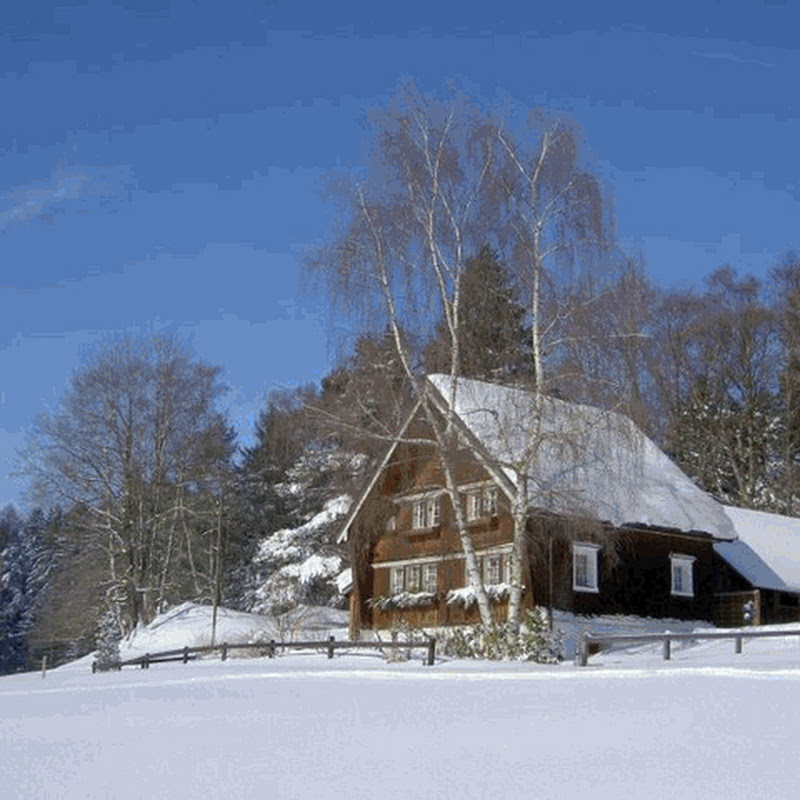 www.rasplen.ch