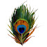 F6eTf9I5wBk-channel-avatar-Premdhara