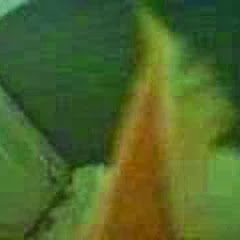 fingerofdoom