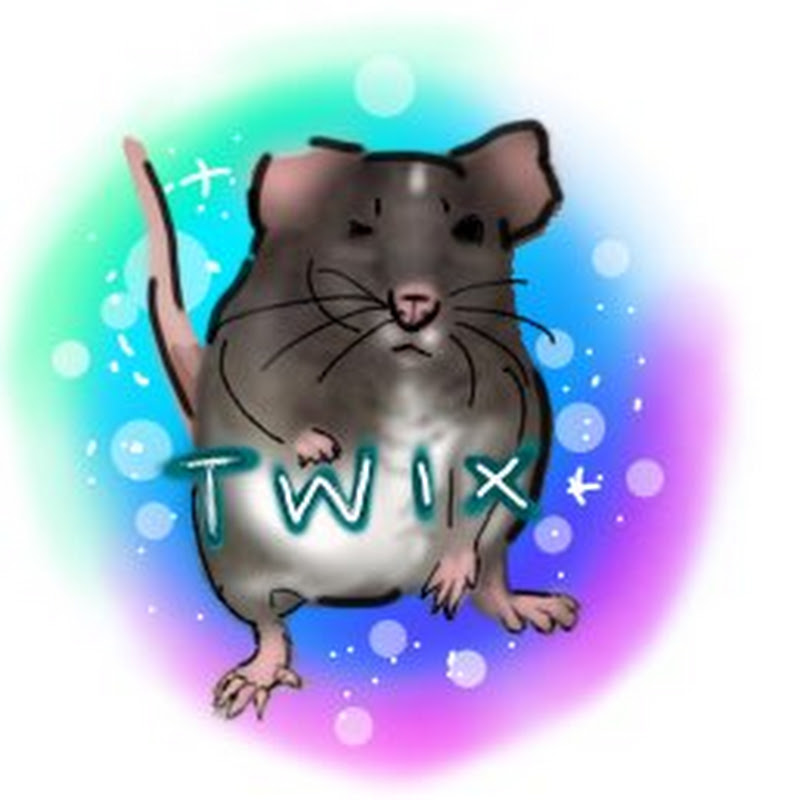 Twix the Mouse