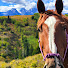 G1GSfqzsJh0-channel-avatar-The Wyoming Project