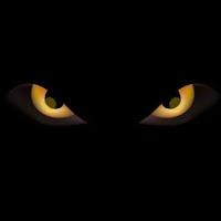 Night Time Spooks profile image