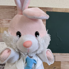 ウサギの精神保健福祉士チャンネル