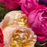 Vdjp8RMhsj4-channel-avatar-Blossom Mist