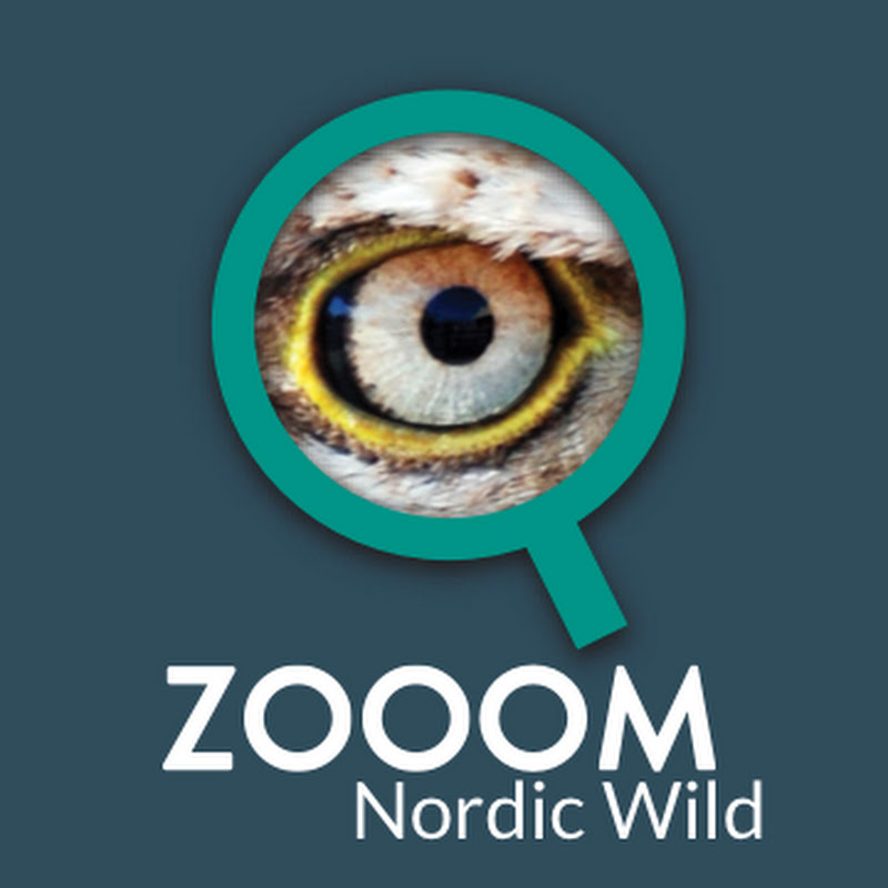Zooom Nordic Wild