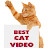 Best Cat Video