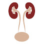 Matoshree Kidney Stone Center logo