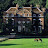 Biddesden Stud