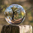 FJHwNz8RG38-channel-avatar-Relaxing Nature Sounds