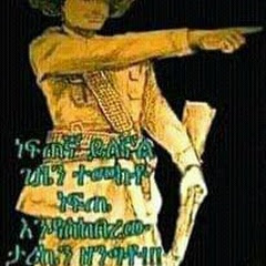 bini (ቢኒ) tube Avatar