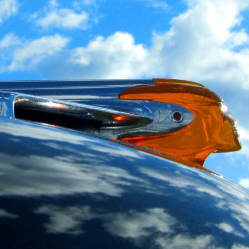 Dashcam Riprock icon
