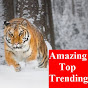 Top Trending News logo