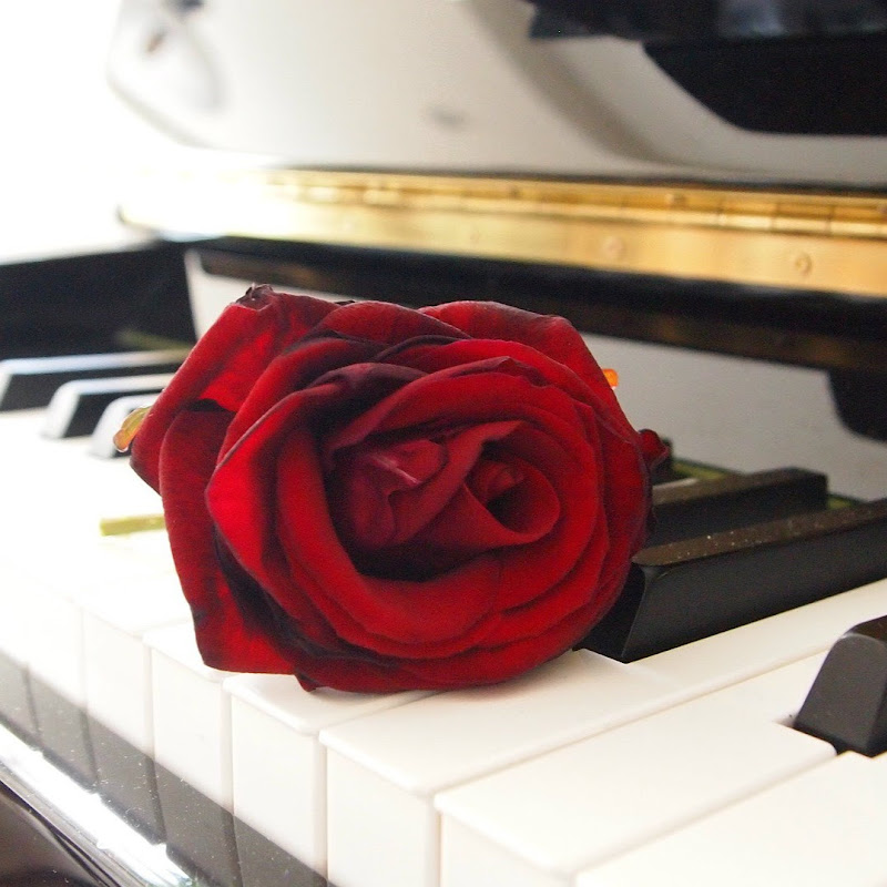 Relax Music Meditation