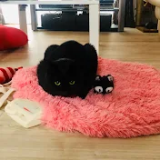 ネイチャー部