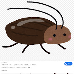 チャンネルゴキブリ