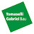 Tomaselli Gabriel Bau