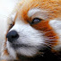 H3HHdrQhRtw-channel-avatar-sabinasabina2010