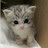 @2shan997