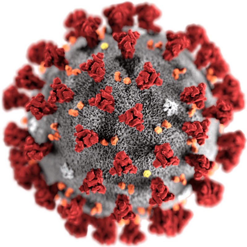 Coronavirus test