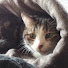 DzZXcw_ODnM-channel-avatar-MeadeLX50