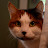 @Mikotti Avatar