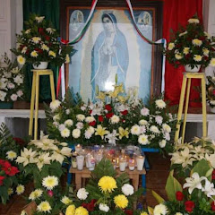 Tv. Mariano. San Agus