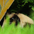 p7Qn_c1FrQw-channel-avatar-Daybreak96