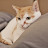 @PenguinDance273