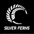 Silver Ferns TV