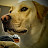 @drbtsi Avatar