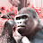 @cwtexas Avatar