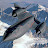@Viper1171's avatar