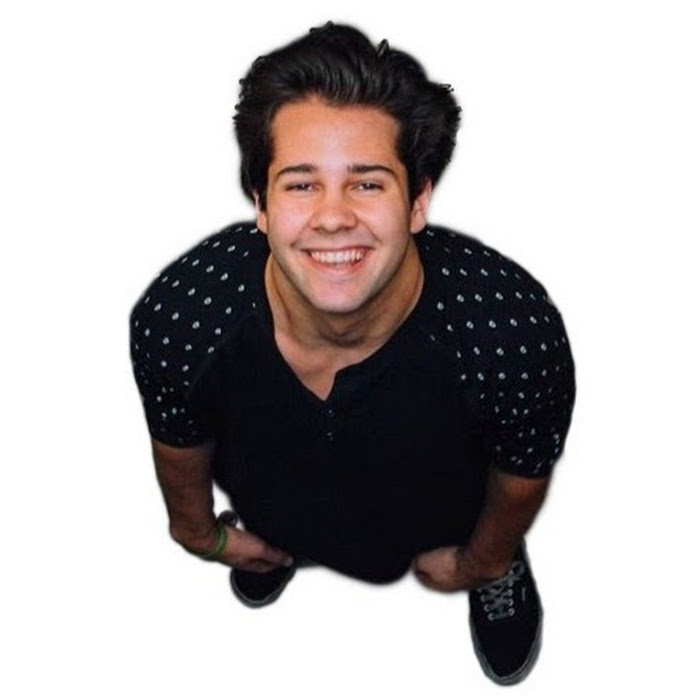 David Dobrik Net Worth & Earnings (2025)