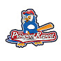 Prospect.Report logo
