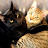 Cuddling Cats Kwazi and Uli