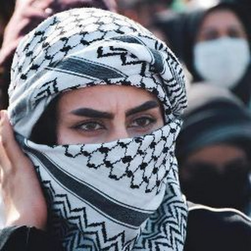 المونتير حمودي