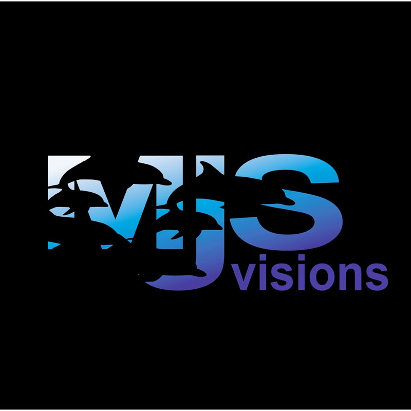 MJSVisionsVI