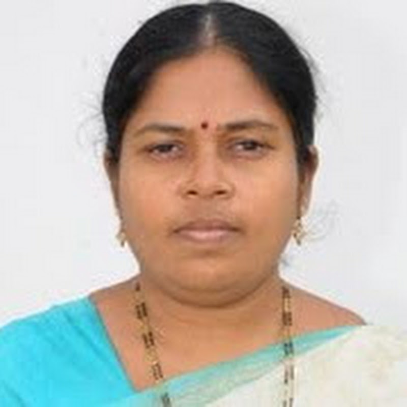Vishnu English Professor