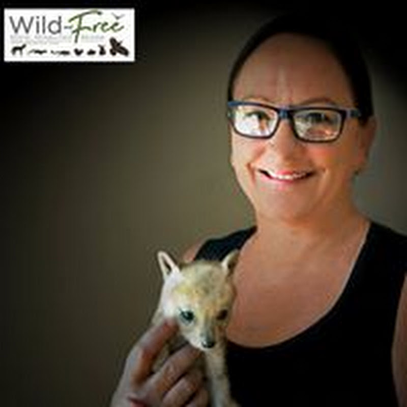 Wild and Free Wildlife Rehabilitation Centre profile avatar