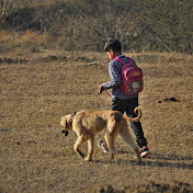 Patyanwale Dogs Preservation Project