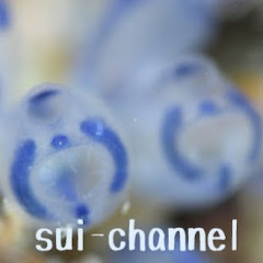 スイチャンネル sui-channel channel logo
