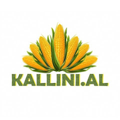 Kallini. al net worth