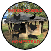 The BlackGold Homestead